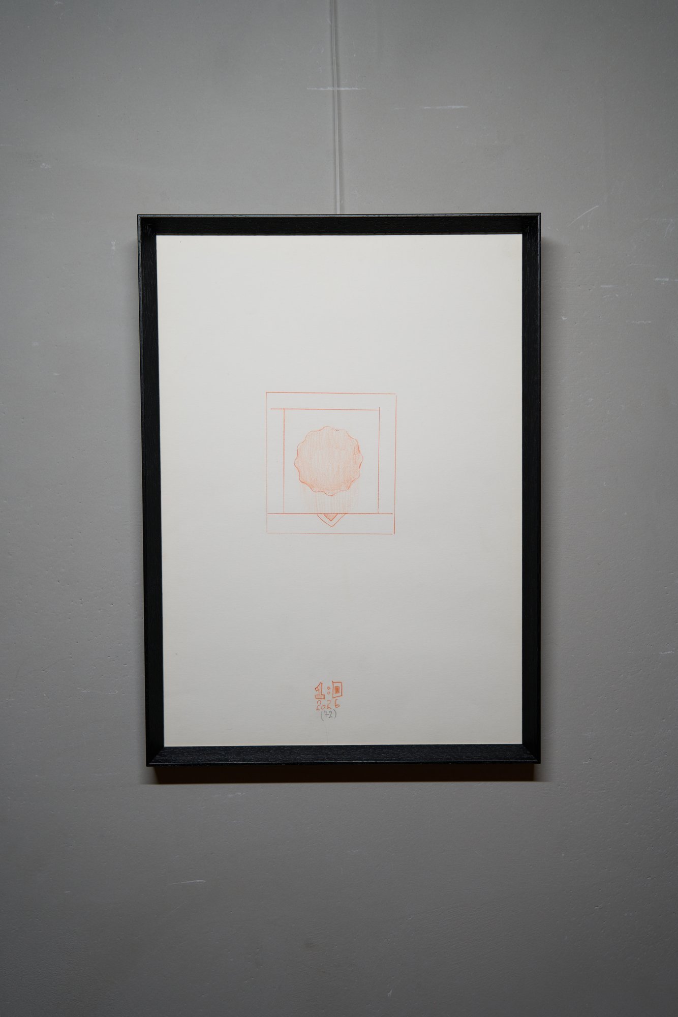 AVV-016